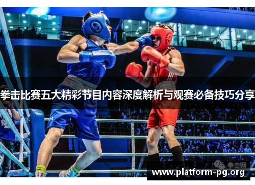 拳击比赛五大精彩节目内容深度解析与观赛必备技巧分享