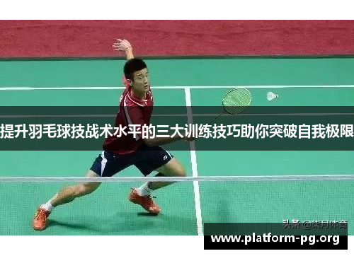 提升羽毛球技战术水平的三大训练技巧助你突破自我极限