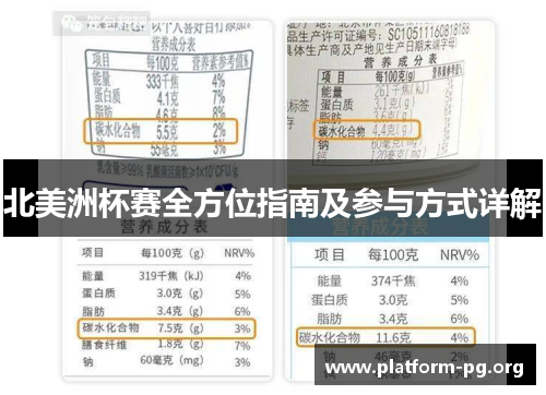 北美洲杯赛全方位指南及参与方式详解